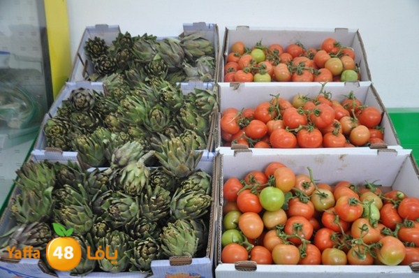 souq yaffa 0123 (32).JPG